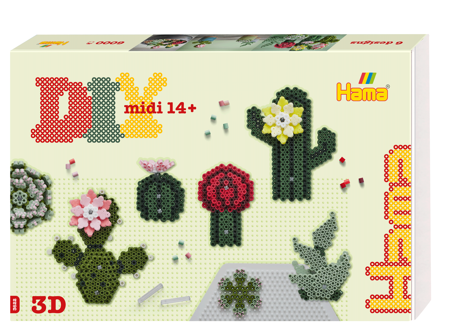 Hama Art - Succulents
